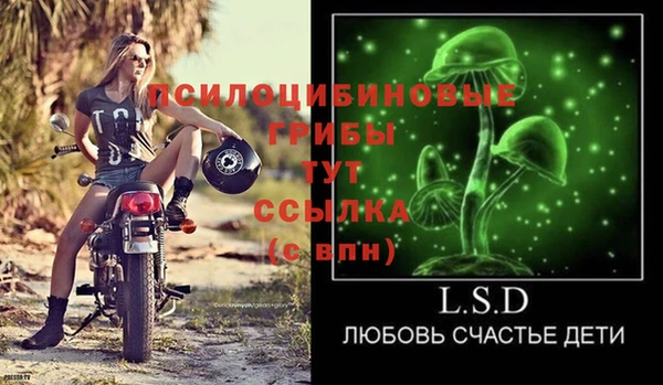 ПСИЛОЦИБИНОВЫЕ ГРИБЫ Нязепетровск