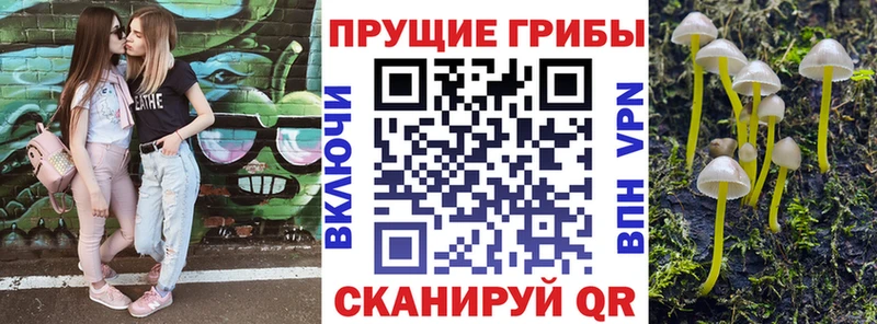 Псилоцибиновые грибы мухоморы  что такое наркотик  Сусуман 